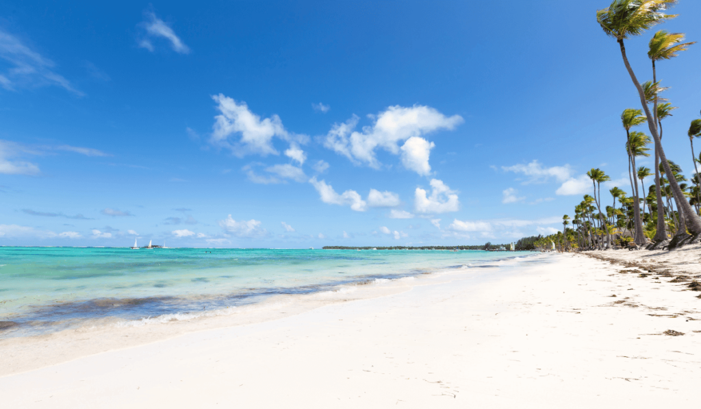 Bavaro Beach - A palm-fringed beach with soft sands and vibrant blue waters.