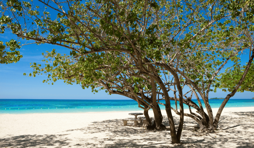 Seven Mile Beach (Negril) - A famous beach with golden sands and a laid-back vibe.