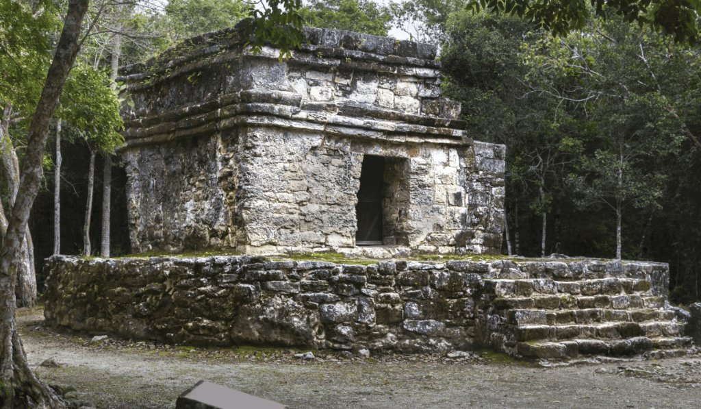 A photograph of the Zona Arqueológica San Gervasio in Cozumel, Mexico. The image showcases ancient Mayan ruins, with weathered stone structures surrounded by lush green vegetation. The ruins are a historical and cultural treasure, offering a glimpse into the rich heritage of the Mayan civilization. Visitors to San Gervasio can explore these fascinating archaeological remains and learn about the history of the site.